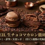 MAMEIL（マメイル）生チョコマカロンの口コミ・評判を徹底調査！